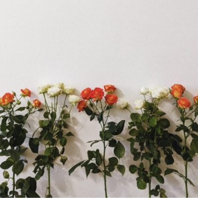 flowers in front of wall background