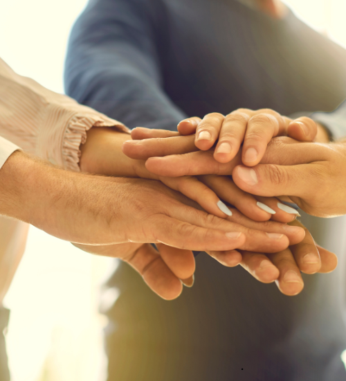 group of friends holding hands